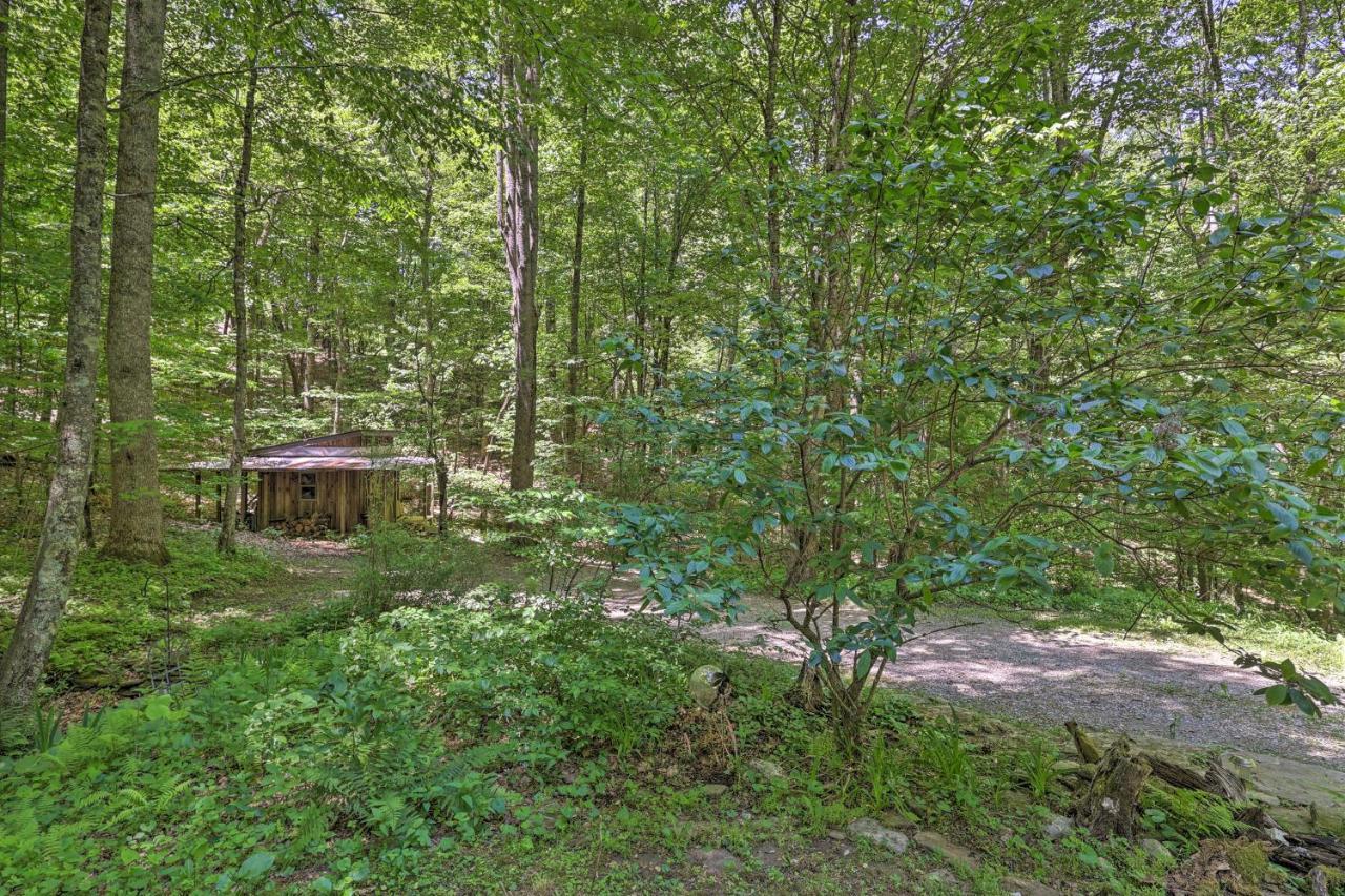Villa The Bird Sanctuary Fire Pit, Gas Grill And Hammock Boone Exterior foto