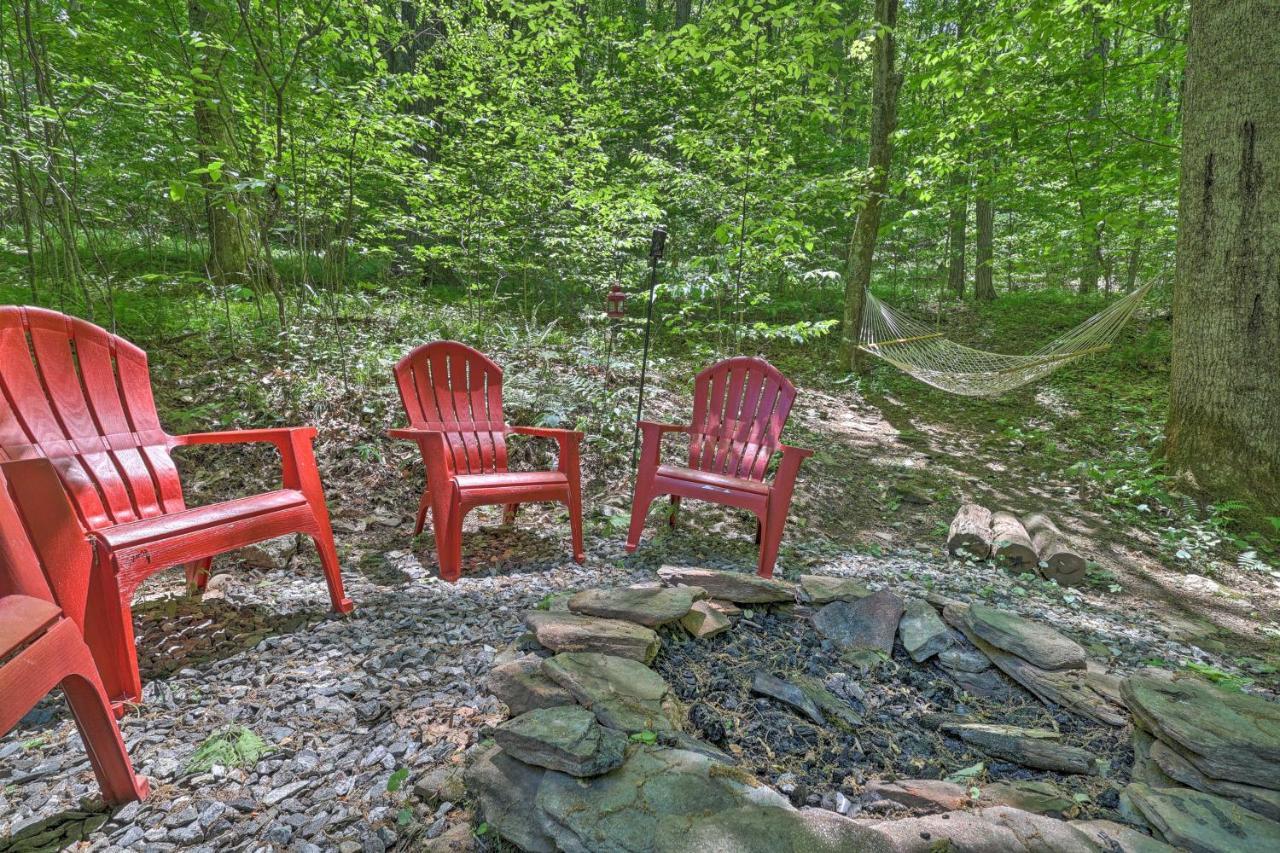 Villa The Bird Sanctuary Fire Pit, Gas Grill And Hammock Boone Exterior foto