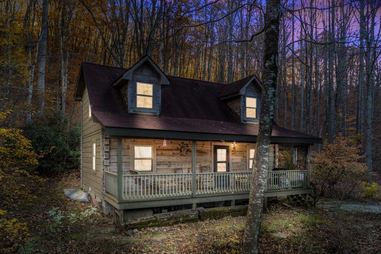 Villa The Bird Sanctuary Fire Pit, Gas Grill And Hammock Boone Exterior foto